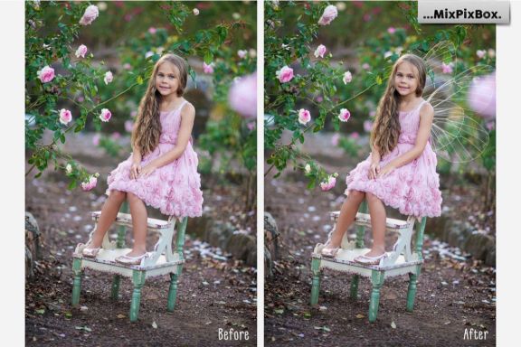 Fairy Wings Overlays