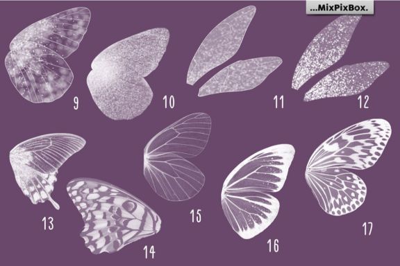 Fairy Wings Overlays