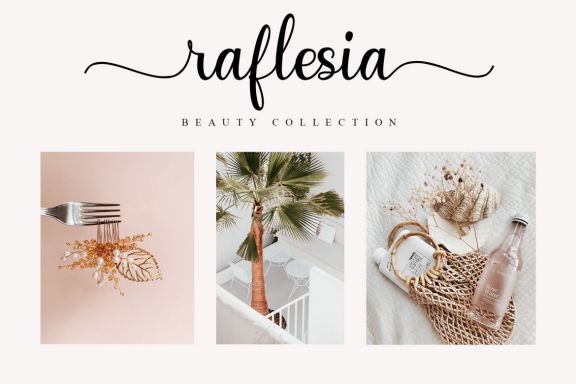 Senthany Modern Script Font