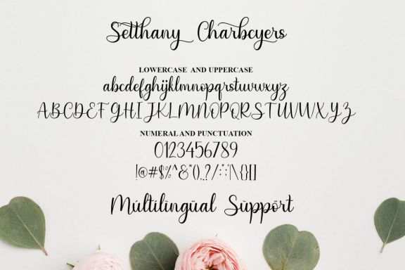 Senthany Modern Script Font