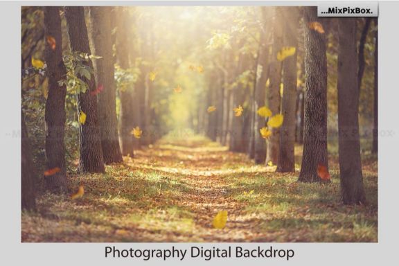 Autumn Alley Backdrop