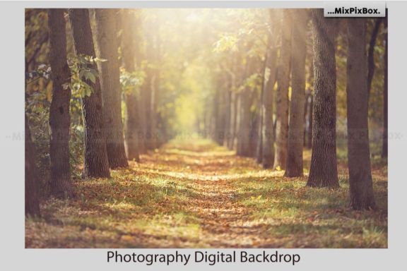 Autumn Alley Backdrop
