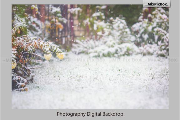 Winter Garden Backdrops