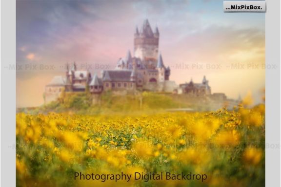 Castle backdrops