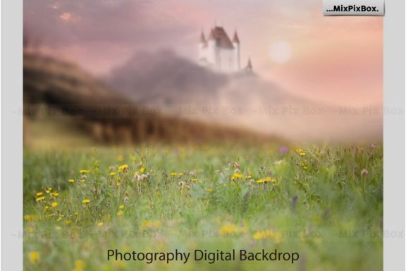 Castle backdrops