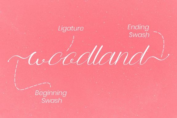 Anttalla Script