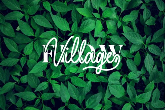 Hearthline Monoline Script