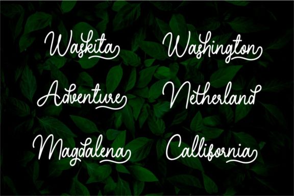 Hearthline Monoline Script