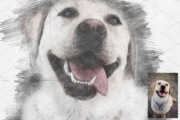Pencil Sketch Photoshop Action