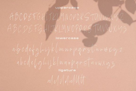 Mellisya Signature