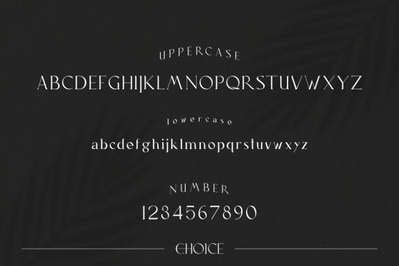 Choice Font