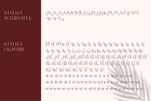 Rockrose Feminine Font