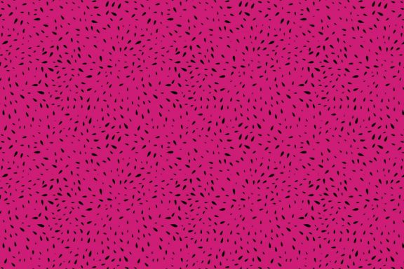 Fruit Texture Patterns