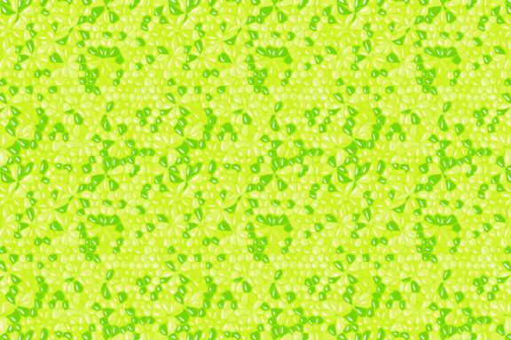 Fruit Texture Patterns