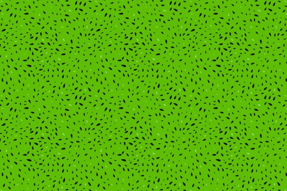 Fruit Texture Patterns
