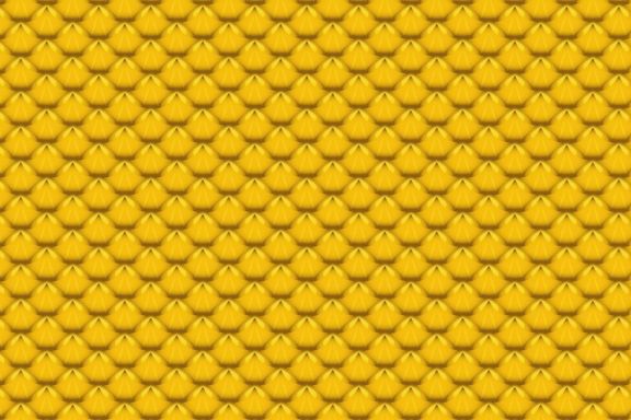 Fruit Texture Patterns