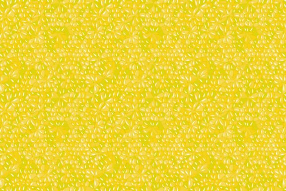 Fruit Texture Patterns