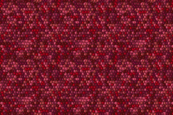 Fruit Texture Patterns