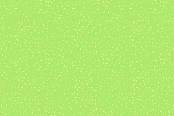 Fruit Texture Patterns