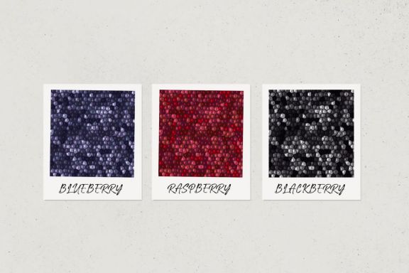 Fruit Texture Patterns