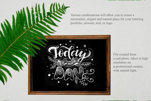 ChalkBoard And Fern Scene Creator