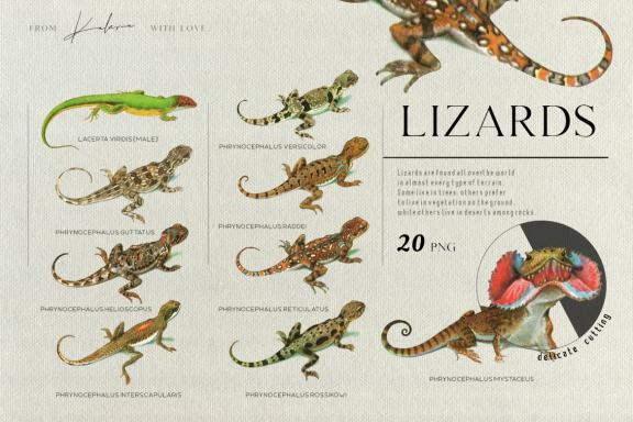 Vintage lizards - retro illustrations set