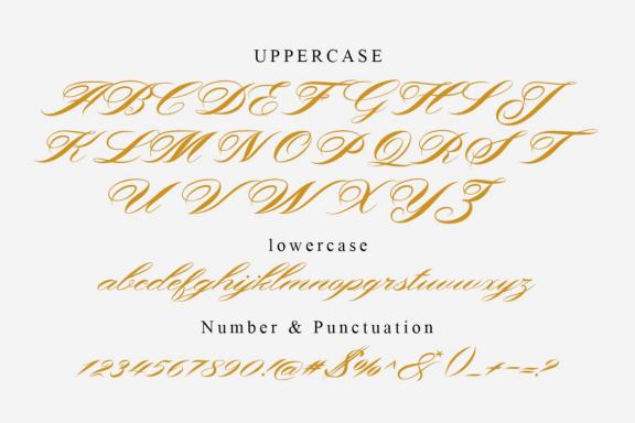 Shergine - Beautiful Script