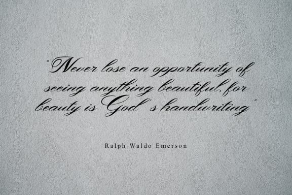 Shergine - Beautiful Script