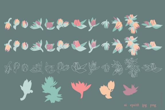 Succulent floral element & patterns