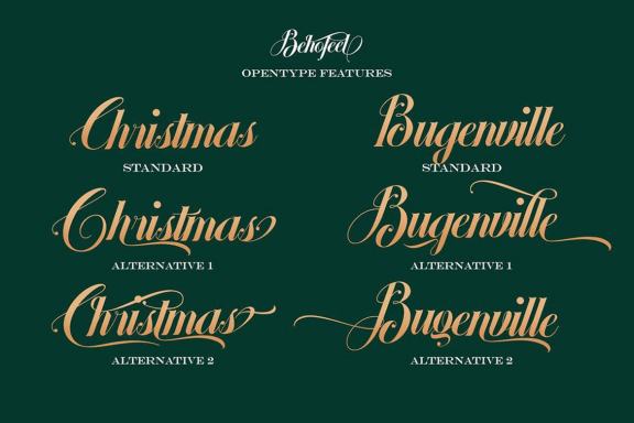 Behofeel Decorative Script