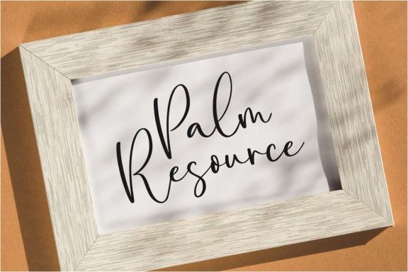 Amalia Salvatore Beautiful Modern Calligraphy Font