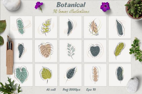Botanical: 30 leaves illustration