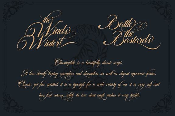 Chasmophile Decorative Script