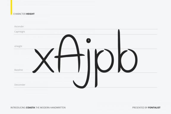Coasta The Modern Handwritten