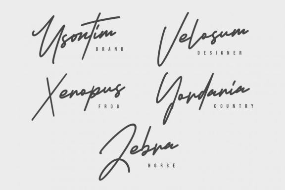 Armstrong Signature Font