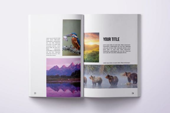 Multipurpose A4 Portfolio Design - 36 pages