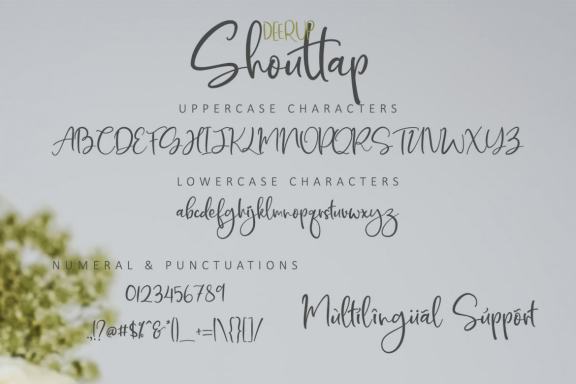 DeerUp Shoutapp - Font Duo