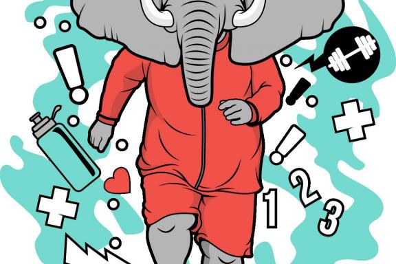 Bundle of Animal vector illustration