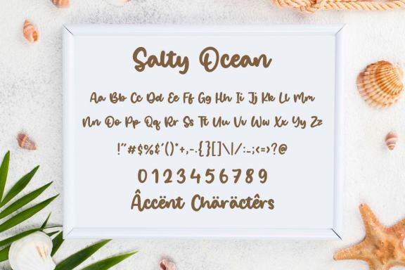 Salty Ocean Bold Brushed Handdraw Font