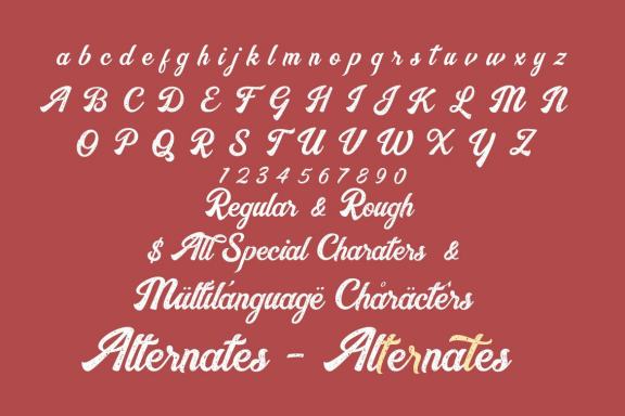 Nayland Retro Script