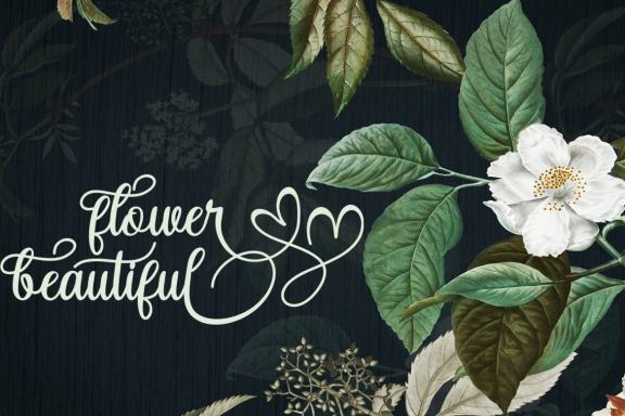 Alice Chater - Free Font