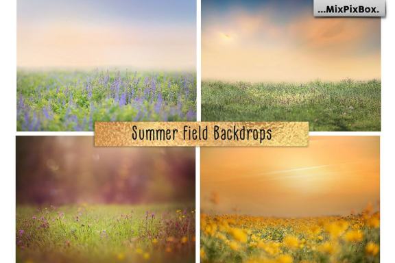 Summer Field Backdrops