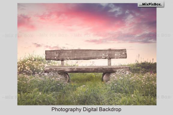 Park Bench Backdrops