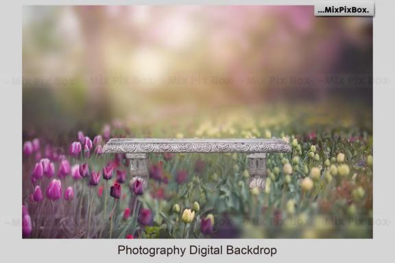 Park Bench Backdrops