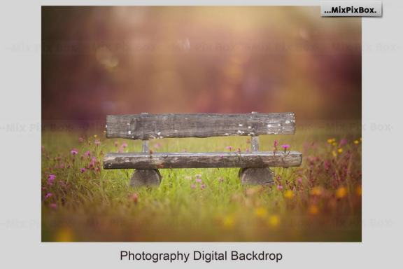Park Bench Backdrops