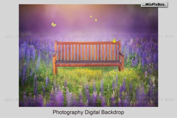 Park Bench Backdrops