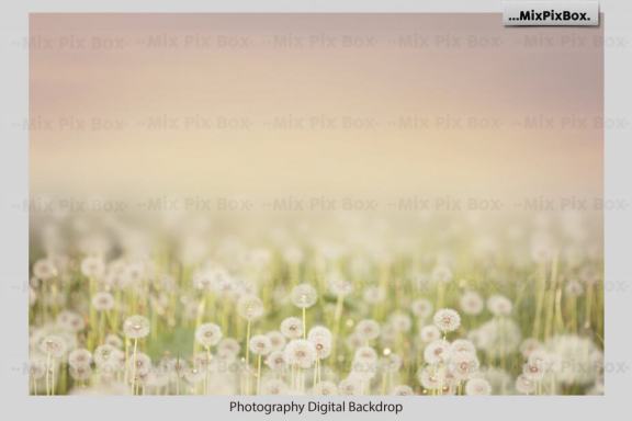 Dandelion Overlays