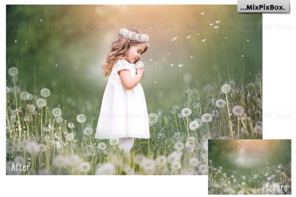 Dandelion Overlays