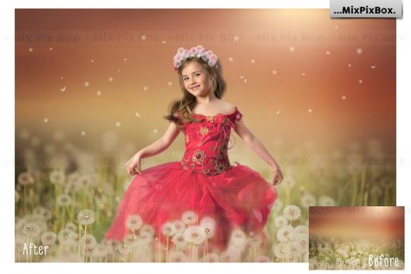 Dandelion Overlays
