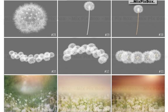Dandelion Overlays